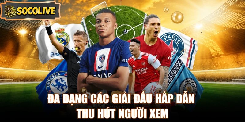 Đa dạng các giải đấu hấp dẫn thu hút người xem