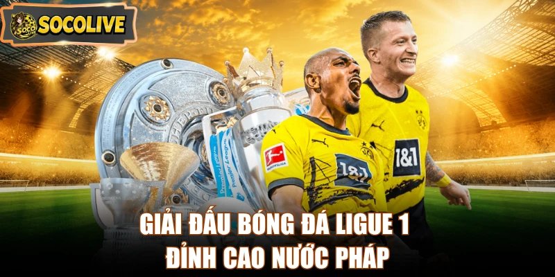 Giải đấu bóng đá Ligue 1 đỉnh cao nước Pháp
