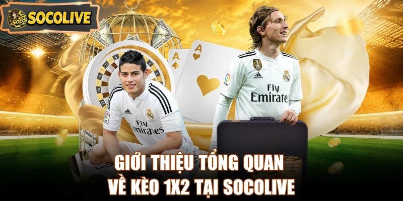 Giới thiệu tổng quan về kèo 1X2 tại Socolive