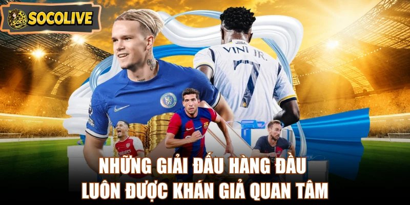 Những giải đấu hàng đầu luôn được khán giả quan tâm