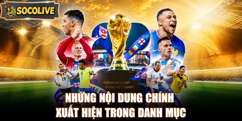 Những nội dung chính xuất hiện trong danh mục