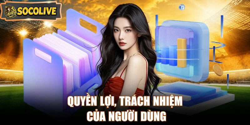 Quyền lợi, trách nhiệm của người dùng
