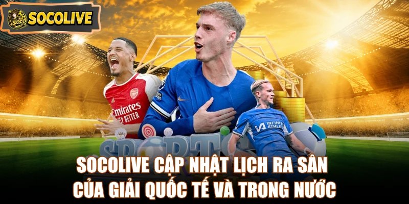Socolive cập nhật lịch ra sân của giải quốc tế và trong nước
