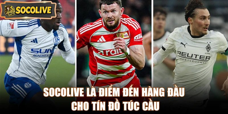 Socolive là điểm đến hàng đầu cho tín đồ túc cầu