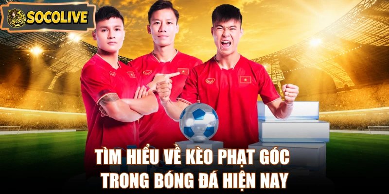 Tìm hiểu về kèo phạt góc trong bóng đá hiện nay